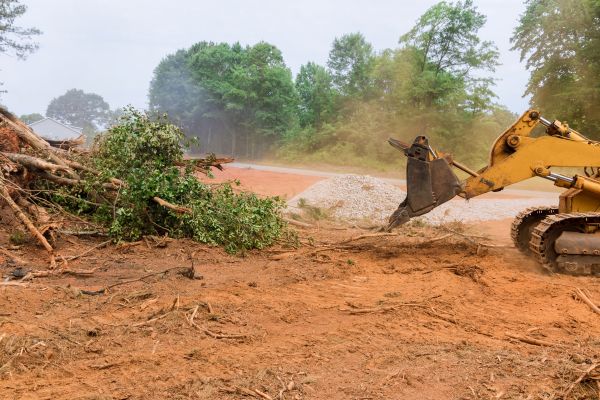 Ground Clearing in Morgantown