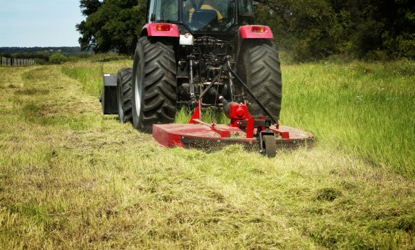 Brush Clearing Service in Morgantown