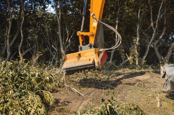 Brush Removal Service in Morgantown