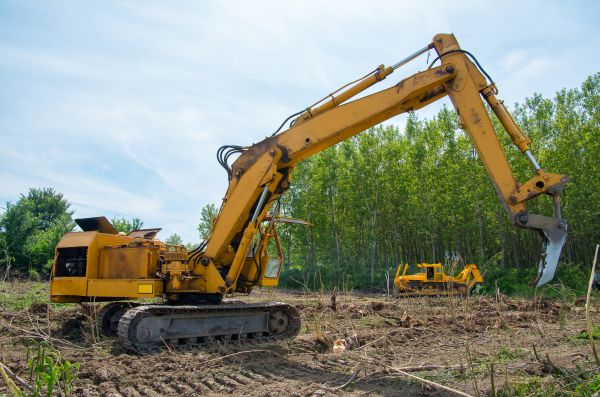 Farm Clearing in Morgantown