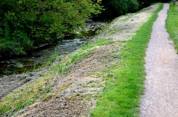 Trail Cutting in Morgantown